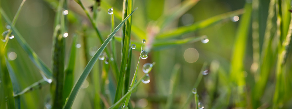 banner-environment-2